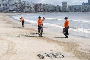 Limpieza en playa pocitos