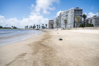 Limpieza en playa pocitos Limpieza en playa pocitos