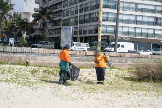 Limpieza en playa pocitos