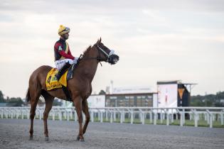 Gran Premio Ciudad de Montevideo - Presidente Jorge Batlle Gran Premio Ciudad de Montevideo - Presidente Jorge Batlle