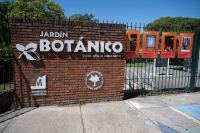 Monteverano en el Jardín Botánico, 8 de enero de 2025