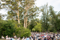 Cine en el Jardín Botánico