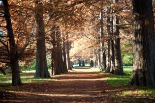 Muestra fotográfica 115 años del Jardín Botánico Muestra fotográfica 115 años del Jardín Botánico