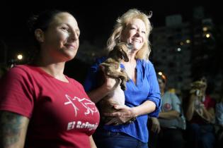 Primera fecha de adopción de perros 2023 en Parque Franzini Primera fecha de adopción de perros 2023 - Intendenta
