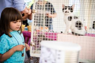 Jornada de adopción de animales de compañia organizada por la Asociación Animalista LIBERA