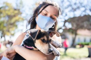 Jornada de adopción de animales de compañia organizada por la Asociación Animalista LIBERA