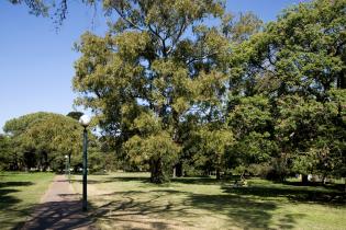 Parque Batlle Parque Batlle