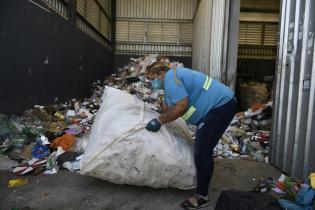 Traslado de bolsones en cooperativa CAMVU a planta de clasificación