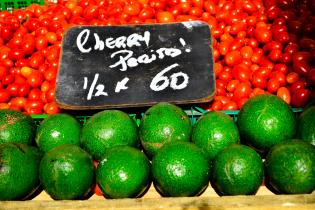 Feria de alimentos saludables. Explanada y Atrio de la IM.