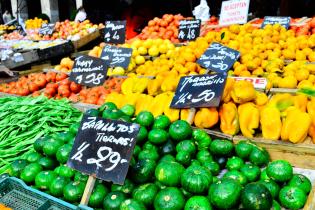 Feria de alimentos saludables. Explanada y Atrio de la IM.