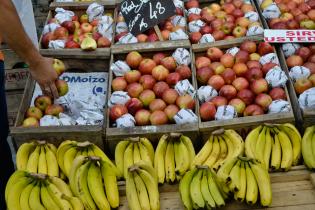 Feria de alimentos saludables. Explanada y Atrio de la IM.