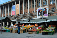 Feria de alimentos saludables. Explanada y Atrio de la IM.