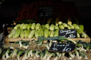 Feria de alimentos saludables. Explanada y Atrio de la IM.