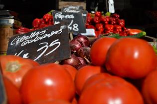 Feria de alimentos saludables. Explanada y Atrio de la IM.