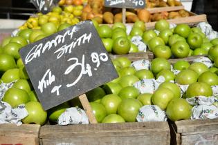 Feria de alimentos saludables. Explanada y Atrio de la IM.