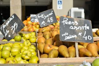 Feria de alimentos saludables. Explanada y Atrio de la IM.