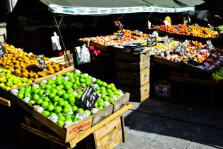 Feria de alimentos saludables. Explanada y Atrio de la IM.