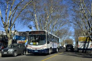 Transporte Transporte