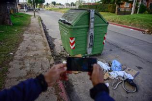 Montevideo más verde en línea