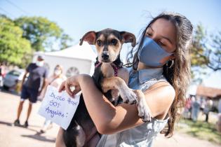 Jornada de adopción de animales de compañia organizada por la Asociación Animalista LIBERA