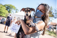 Jornada de adopción de animales de compañia organizada por la Asociación Animalista LIBERA