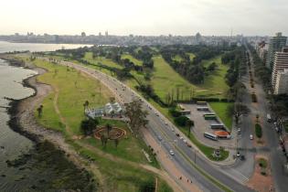 Parque canino