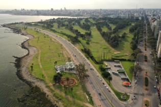 Parque canino