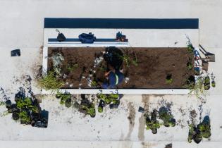 Avance de obras de reacondicionamiento en el Paseo Verde Avance de obras de reacondicionamiento en el Paseo Verde