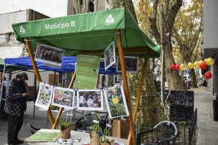 Peatonal barrial en el barrio Sur