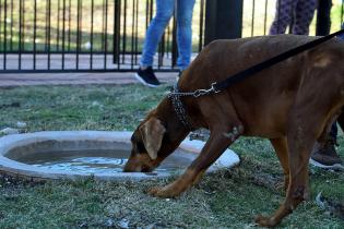 Inauguración de Parque Canino