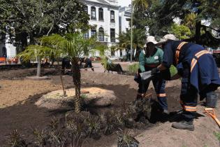 Plantación de árboles y plantas en plaza Zabala