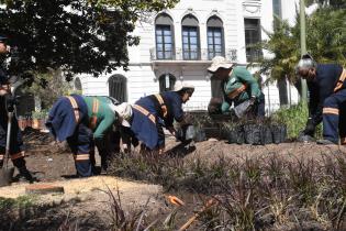 Plantación de árboles y plantas en plaza Zabala