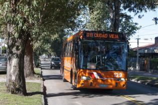 Omnibus en avenida Rivera