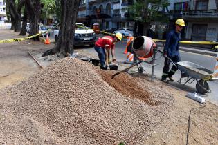 Obras en Parque Rodó