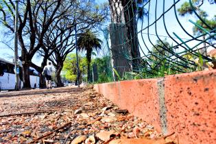 Obras en Parque Rodó