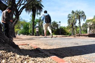 Obras en Parque Rodó