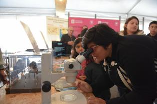 Actividades por el Día Mundial de la Inocuidad Alimentaria en la explanada de la Intendencia de Montevideo Actividades por el Día Mundial de la Inocuidad Alimentaria en la explanada de la Intendencia de Montevideo