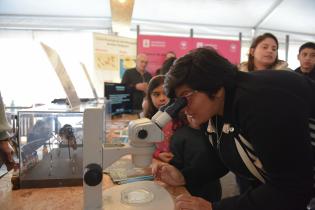 Actividades por el Día Mundial de la Inocuidad Alimentaria en la explanada de la Intendencia de Montevideo