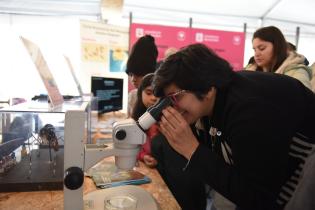 Actividades por el Día Mundial de la Inocuidad Alimentaria en la explanada de la Intendencia de Montevideo