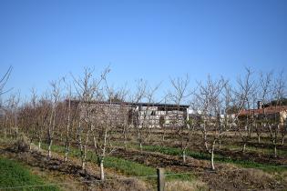 Montevideo Rural