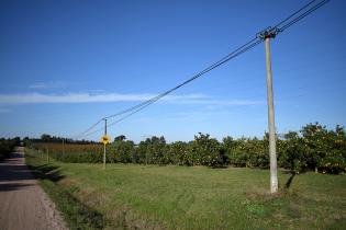 Montevideo Rural