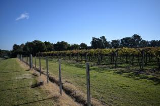 Montevideo Rural