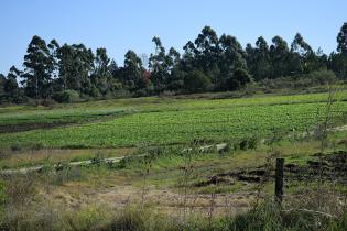 Montevideo Rural Montevideo Rural
