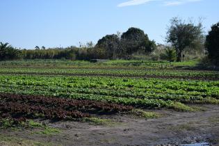 Montevideo Rural Montevideo Rural