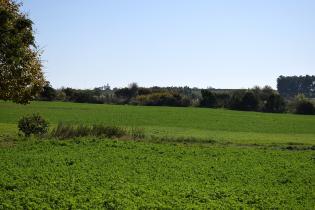 Montevideo Rural Montevideo Rural