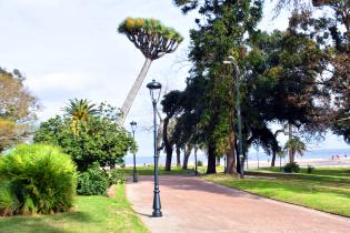 Montevideo Mejora Colocacion Luminarias Parque Rodo Montevideo Mejora Colocacion Luminarias Parque Rodo