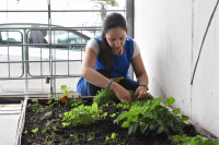 Programa educativo en Escuelas