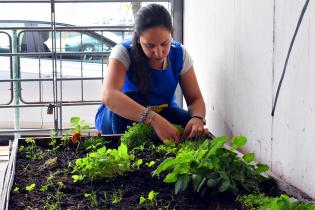 Programa educativo en Escuelas