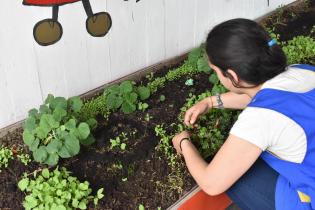 Programa educativo en Escuelas