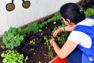 Programa educativo en Escuelas